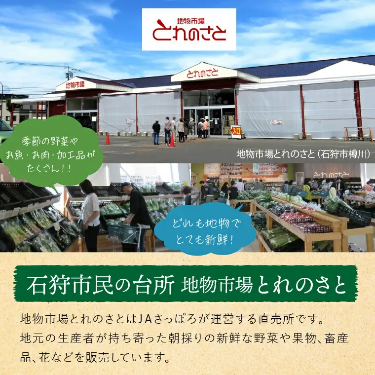 石狩産さつまいも（5kg）【10月発送】｜ ふるさと納税 北海道産 サツマイモ 野菜 北海道 石狩市