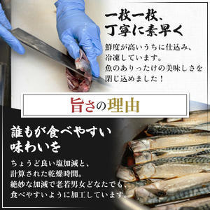 とろサバ 干物 6枚 約200g前後×6枚 合計約1.2kg前後 干物