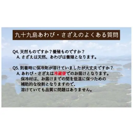 【 あわび・さざえ】 セット 生食可 2.8kg あわび 産地直送 A180