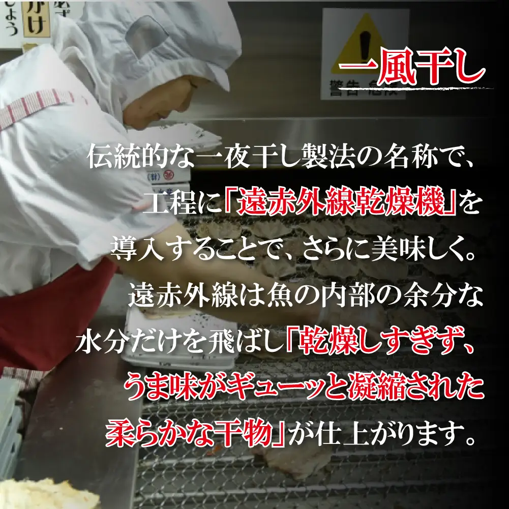 長崎産 ひもの ｢出島｣  津田 【 干物 】