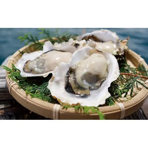 九十九島殻付かき･さざえ 計1.5kg