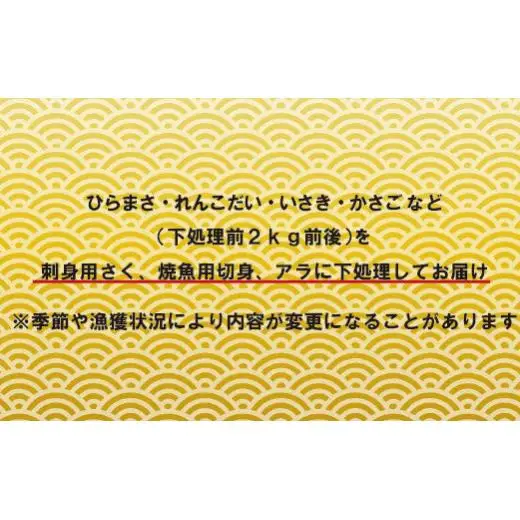 【地魚】 五島列島 旬の地魚 セット 新鮮 産地直送 A198