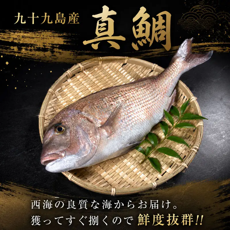 真鯛セット(大)