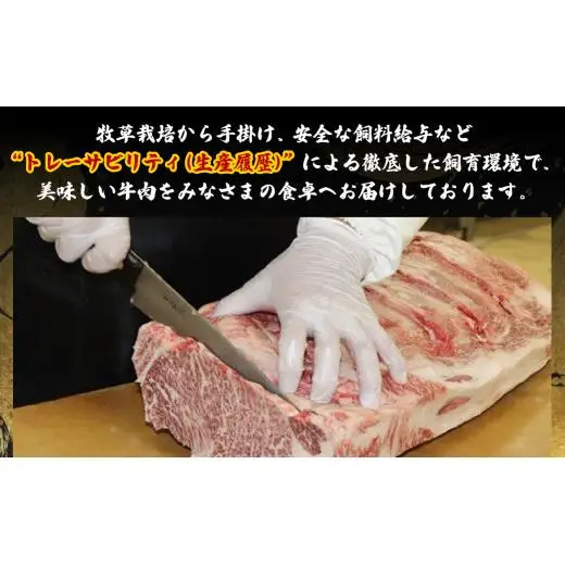牛肉 【 長崎 和牛 】 牛ロース 700g 肉 B107