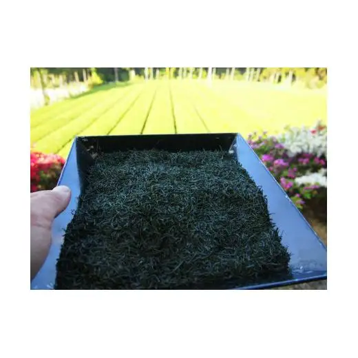 【農林水産大臣賞15回受賞の銘店】世知原茶 ｢芳翠｣｢峰の露｣ 詰め合わせ 500g (100g×5P)【前田製茶】蒸し製玉緑茶 茶葉 日本茶 緑茶