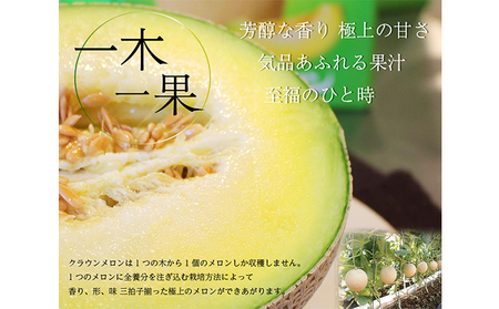 ワケありメロン3玉入り（クラウンメロン） 果物類 メロン青肉 フルーツ 訳あり ※順次発送