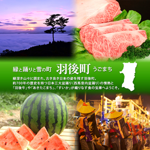 味噌 昔ながら手作り 米味噌秋田県産味噌【4kg】