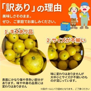 令和9年5月発送予定 訳あり小夏3.5キロ（白浜農園の減農薬小夏） 柑橘 みかん フルーツ 日向夏 果物 ワケあり 傷 訳 家庭用 自宅用 特産【R01152】