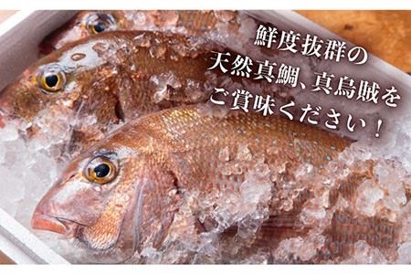 島茶漬け 4人前（鯛・イカづけ）[JAI003] お茶漬け 鯛 イカ