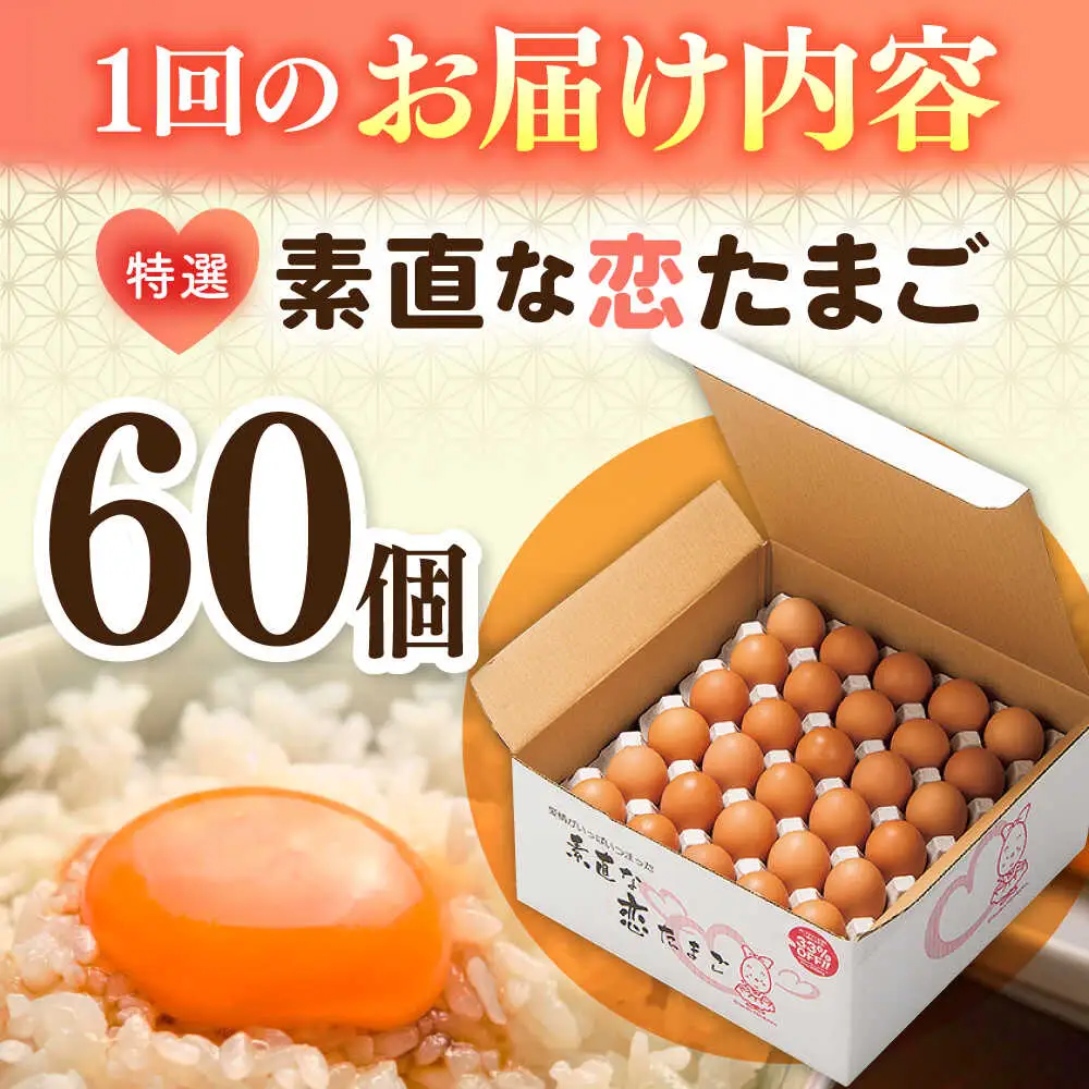 【全3回定期便】【特選卵】素直な恋たまご 60個 [JAP003]