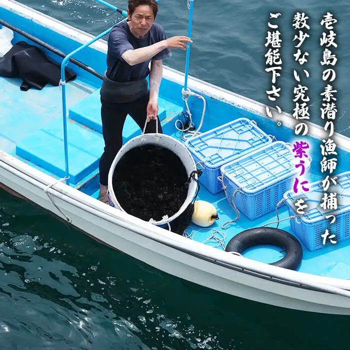 【先行予約】壱岐産紫うに（かきおとし）【2027年5月中旬以降順次発送】《壱岐市》【壱岐島 玄海屋】[JBS026] ウニ 紫ウニ 33000 33000円