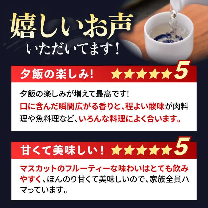 よこやま 純米吟醸 SILVER7 生詰（1回火入）720ml（15度）《壱岐市》【ヤマグチ/重家酒造】[JCG025] お酒 日本酒