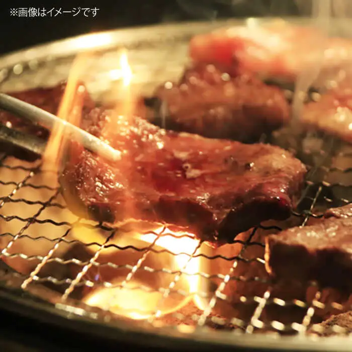 【全3回 定期便 】お肉 壱岐牛 焼き肉セット 500g 《 壱岐市 》 【ヤマグチ】[JCG054] 60000 60000円