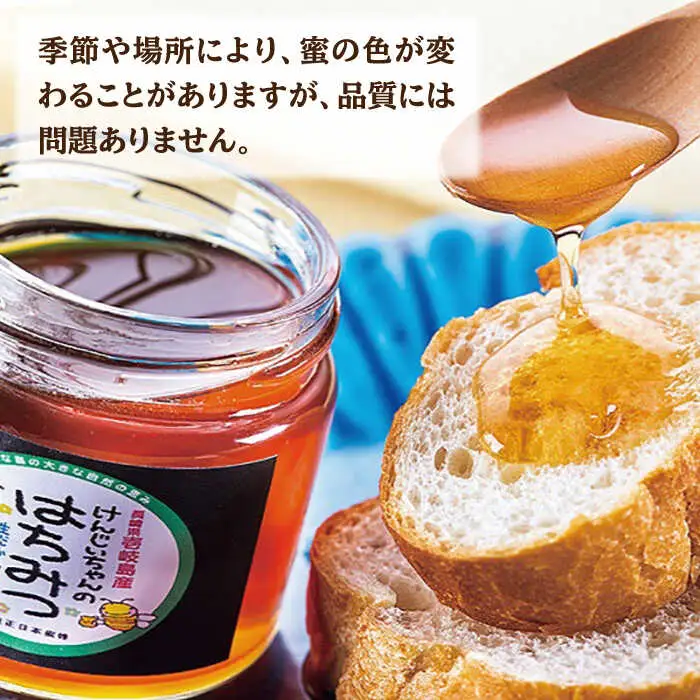 ニホンミツバチ 生蜂蜜 600g×1（パッカー300g・化粧箱付き） [JCL010] ハチミツ 蜂蜜