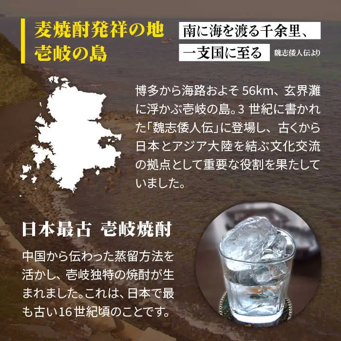 麦焼酎 お酒 一升瓶 壱岐の蔵酒造 壱岐の島 1800ml 3本入りセット モンドセレクション金賞受賞 壱岐市 【天下御免】 [JDB113] 