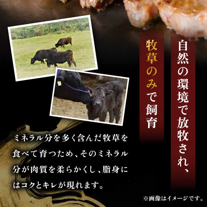特選 壱岐牛 肩ロース 340g（焼肉）《壱岐市》【太陽商事】[JDL016] 肉 和牛 牛肉 黒毛和牛 BBQ 22000 22000円 2万円