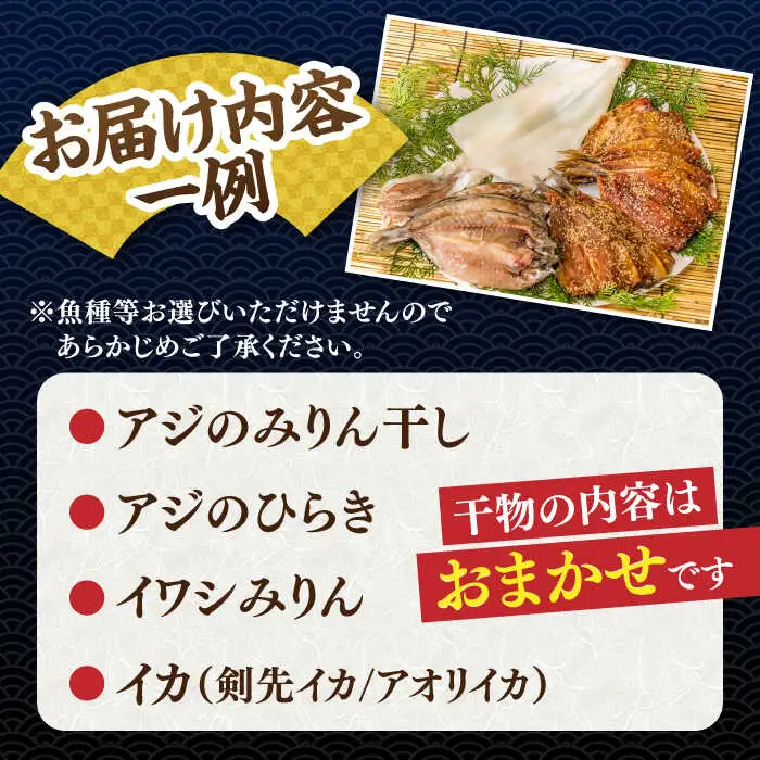 干物詰め合わせ（梅） [JDR001] 干物