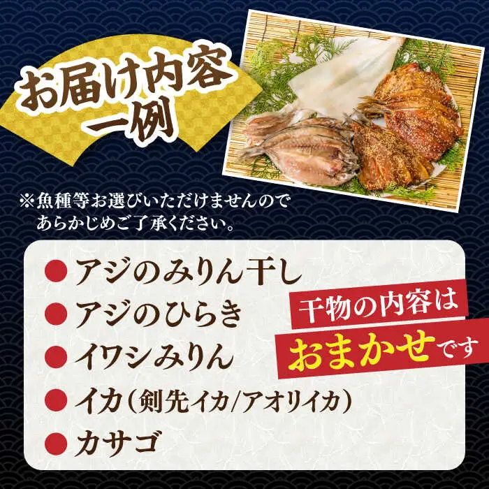 旬の干物 おまかせ詰め合わせ《竹》（アジ・イカ・カサゴなど）[JDR002]