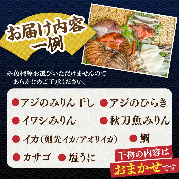 旬の干物 おまかせ詰め合わせ《松》（カマス・アカハタ・鯛など）[JDR003]