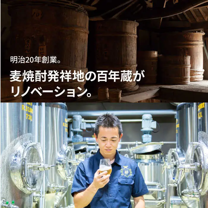 【全12回定期便 】【ISLAND BREWERY】魚に合うクラフトビール 3種飲み比べ 6本セット (ゴールデンエール/IPA/柚子)[JED020]
