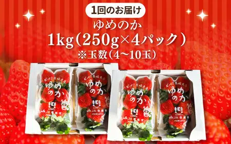【先行予約】【全3回定期便】ゆめのか 1kg （約250g×4パック）【2027年1月以降順次発送】[JEM002] いちご 苺