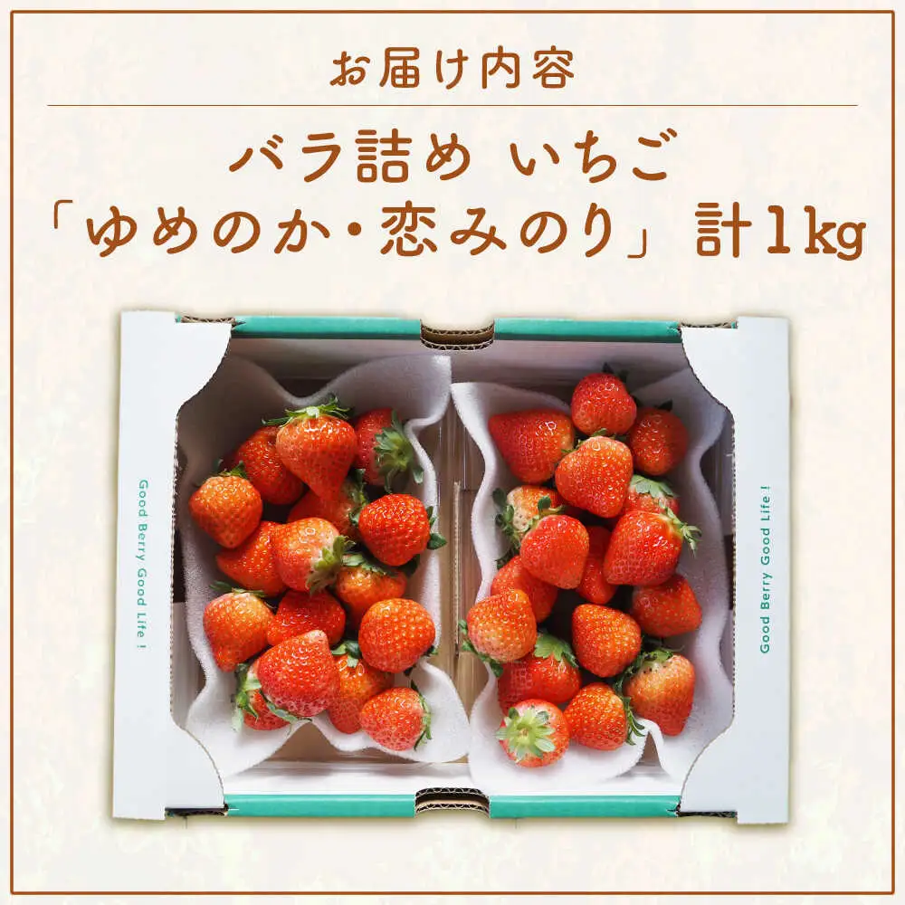 【先行予約】家庭用 いちご 1kg（ゆめのか/恋みのり） [JEO002] イチゴ 苺