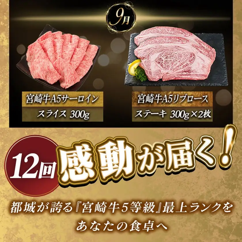 【A5】宮崎牛サーロイン×宮崎牛リブロース三昧定期便(12ヶ月)〔TAE12-0101〕_(都城市) 都城産宮崎牛 牛肉 スライス / サイコロ / 焼肉 / ステーキ サーロイン リブロース