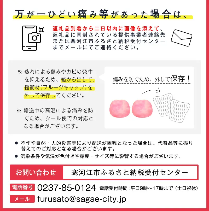 令和8年産 大きな すもも 「秋姫」 1.5kg（9 - 12玉） 2026年産 山形県産【2026年9月中旬頃から9月末頃発送予定】※ 配送不可 沖縄・離島　012-B-MM020