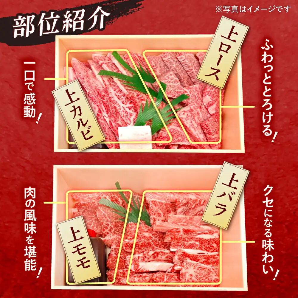 【全2回定期便】 長崎和牛 焼肉 4種 上バラ 上モモ 上ロース 上カルビ 計920g / 焼肉 焼き肉 やきにく 牛肉 ぎゅうにく 和牛 バラ モモ ロース カルビ 冷凍 / 諫早市 / 焼肉おがわ [AHCD050]