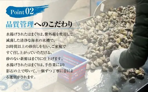 【指定日必須】【配送不可地域有】マルヨシ水産 桑名産大粒天然蛤 2kg（約15～20個）はまぐり ハマグリ 魚介 貝 魚貝 活はまぐり 焼きはま 海鮮 網焼き 酒蒸し お吸い物 パエリア パスタ 焼きはまぐり 焼き蛤 その手は桑名の焼きはまぐり 特産