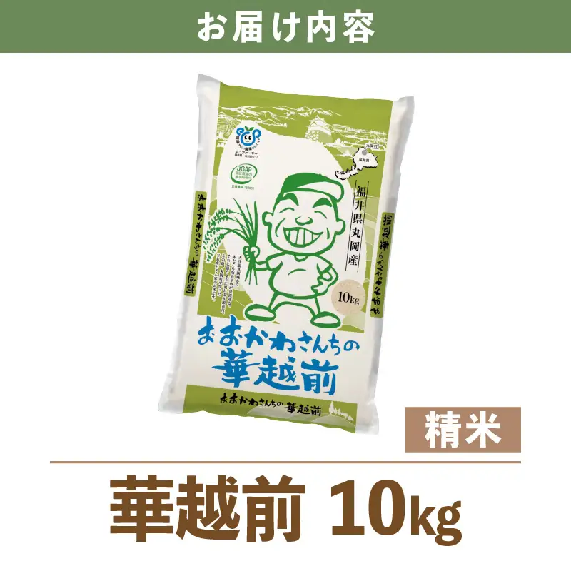 【令和7年産】 おおかわさんちの華越前 10kg 精米 [A-10819]