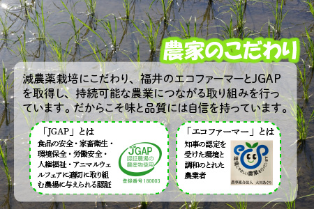 【令和7年産】 おおかわさんちのコシヒカリ 10kg [A-10814]