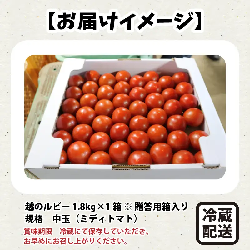 越のルビー 1.8kg とまと ミディトマト [A-1182]