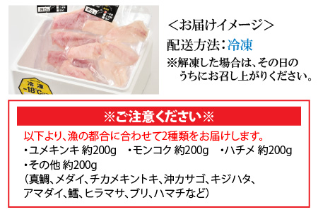とれピチ鮮魚のおまかせ刺身用 200g×2種 ～越前三国港 漁船「神力丸」 船長がお届け！～ [A-5824]