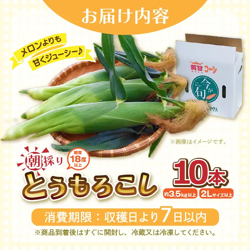 とうもろこし 10本 2Lサイズ以上 2027年6月上旬発送 朝取れ とうもろこし [A-7102] 