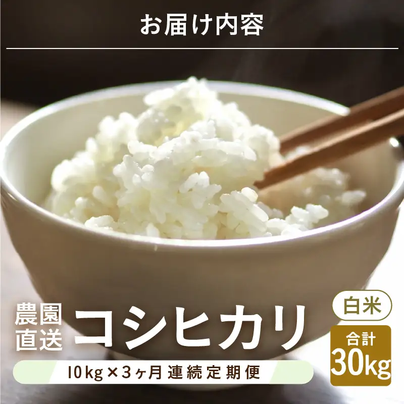【先行予約】【令和8年産・新米】【農家直送定期便 3ヶ月コース】本原農園のまごころコメたコシヒカリ 10kg × 3回 計30kg（白米）【2026年10月上旬以降順次発送】 [G-8911_01]