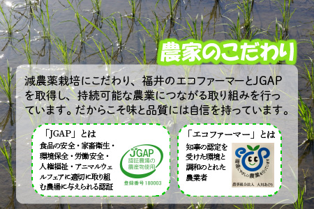 【令和7年産】 【6ヶ月連続お届け定期便】おおかわさんちのコシヒカリ 5kg × 6回 計30kg 精米 [E-10802]