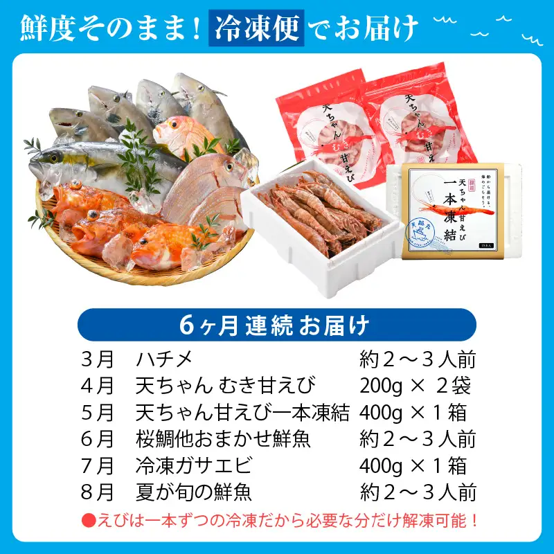 【先行予約】【6ヶ月連続お届け】エビ三昧＆旬の鮮魚 定期便 ～日本海の海の幸コラボ～【2027年3月より発送開始予定】 [F-8504]