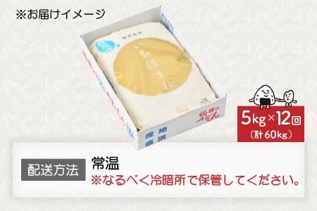 【令和8年産】定期便 ≪12ヶ月連続お届け≫ 福井県のブランド米 いちほまれ 無洗米 5kg × 12回 計60kg 【 無洗米 人気 品種 ブランド米 特A 】 [N-6105]
