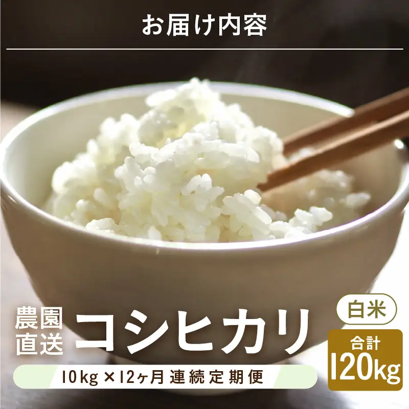 【先行予約】【令和8年産・新米】【農家直送定期便 12ヶ月コース】【白米】 本原農園のまごころコメた 福井県産 コシヒカリ 10kg × 12回 計120kg 【2026年10月上旬以降順次発送】 [O-8908_01]