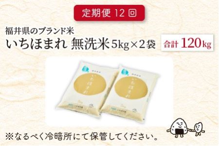 【令和8年産】 定期便 ≪12ヶ月連続お届け≫ 福井県のブランド米 いちほまれ 無洗米 10kg × 12回 計120kg 【 無洗米 人気 品種 ブランド米 特A 】 [P-6101]