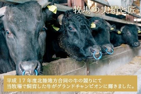 【偶数月お届け】 厳選6回 『若狭牛 逸品』 ～偶数月にあなたの食卓へ～ ESSEふるさとグランプリ2023 肉加工品部門 金賞受賞！ [R-1801]