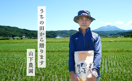 米 令和8年産 まっしぐら 玄米 10kg (5kg×2袋) こめ お米 おこめ コメ ご飯 ごはん 令和8年 山下農園 青森 青森県 鯵ヶ沢町