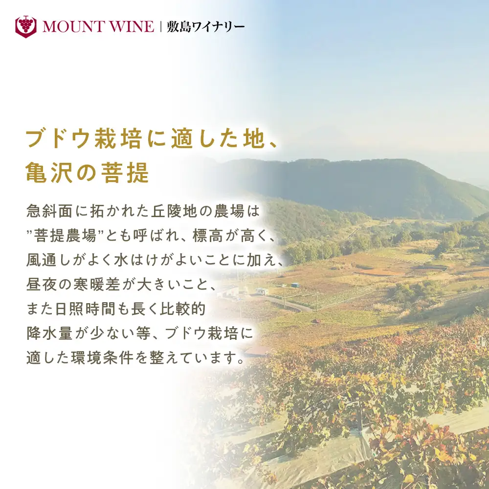 ピノ・ノワール 720ml×1本 ワイン お酒 酒 アルコール 葡萄 ブドウ ギフト プレゼント 贅沢 山梨 甲斐市 F-32