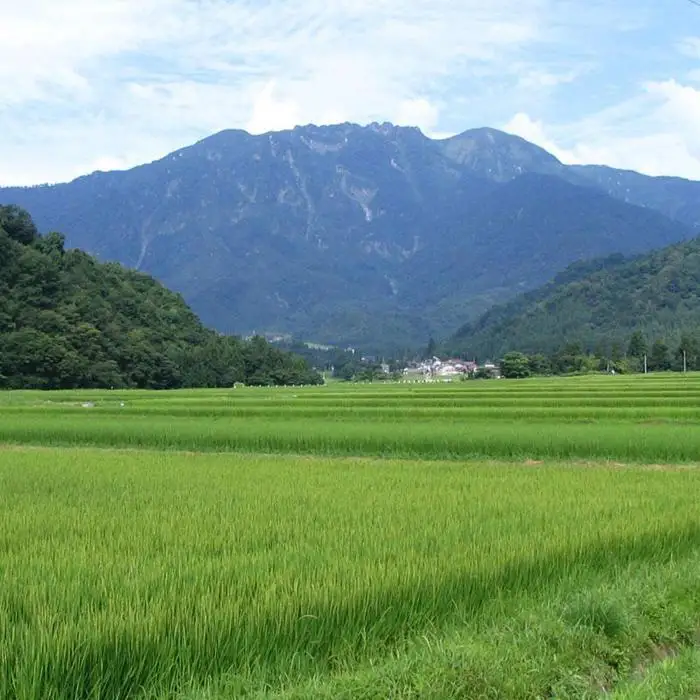 日本酒 八海山 純米吟醸 720ml×6本｜新潟地酒