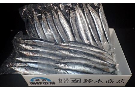 【北海道根室産】一汐さんま6尾入×4P(計24尾) A-11194