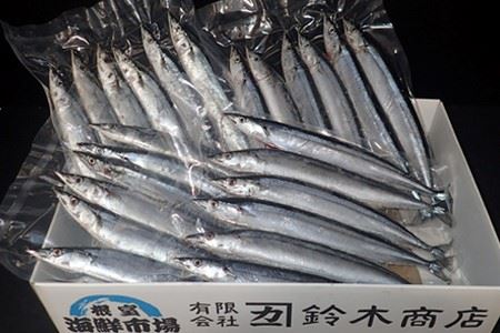 【北海道根室産】一汐さんま6尾入×2P、生さんま6尾入×2P A-11195