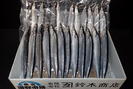 【北海道根室産】生さんま6尾入×4P(計24尾) A-14208