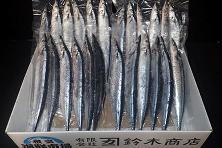 【北海道根室産】一汐さんま6尾入×4P(計24尾) A-14209