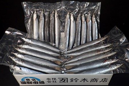 【北海道根室産】根室海鮮市場[直送]生さんま6尾入×4P(計24尾) A-28195